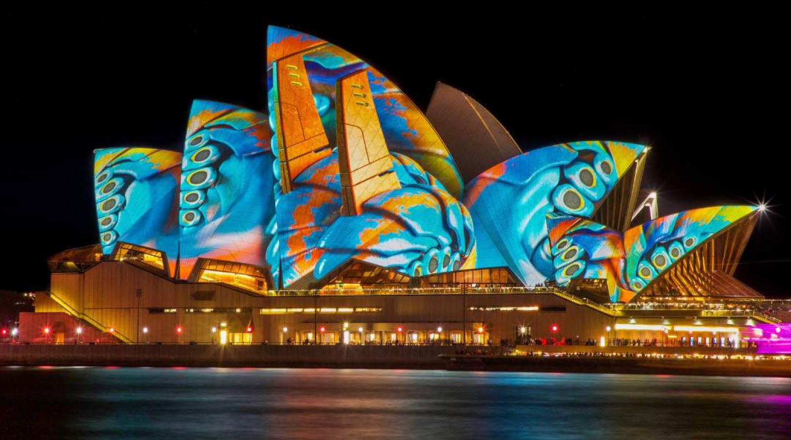 Vivid Cruise Sydney - Opera House art installation