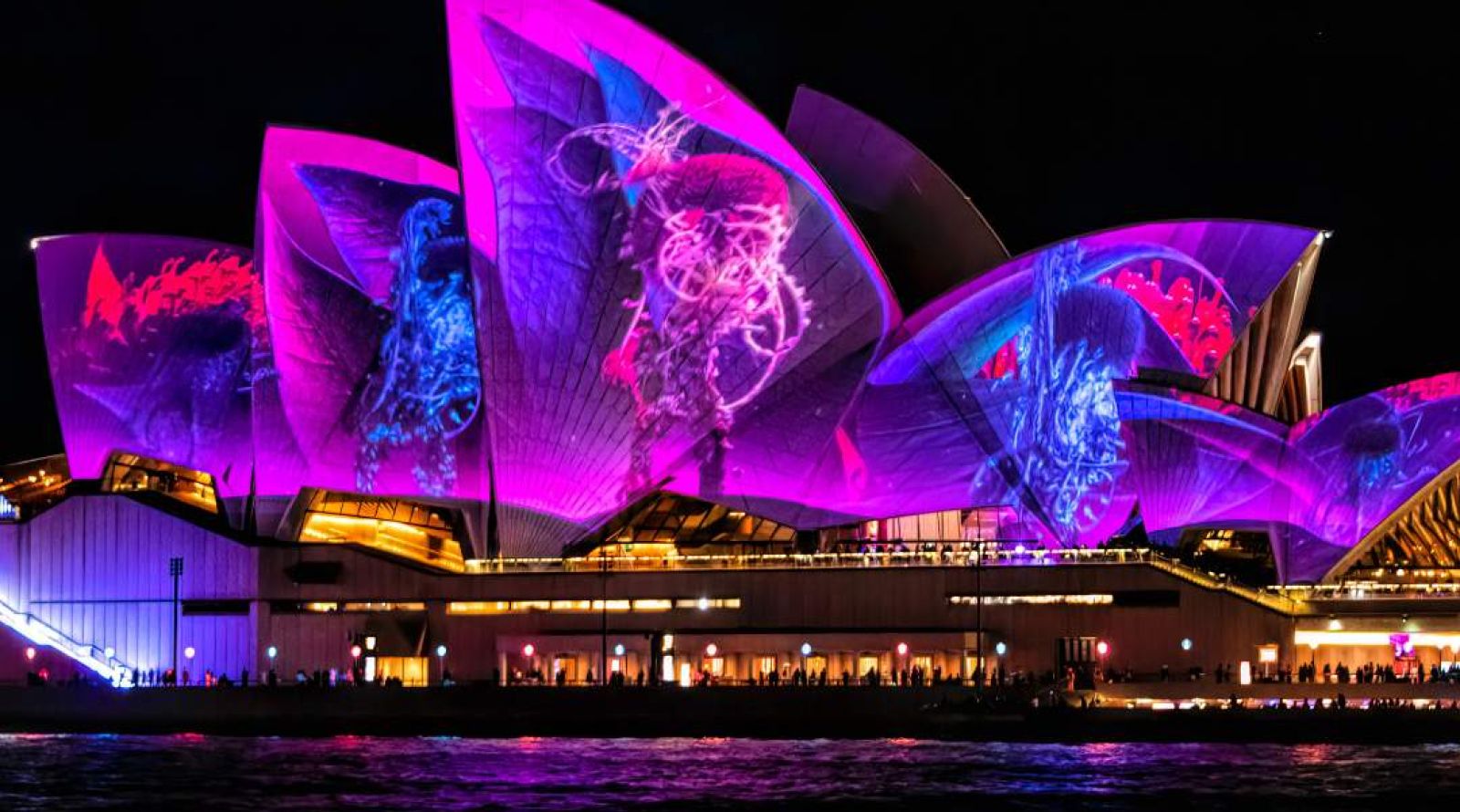 Vivid Festival of Lights Cruise Sydney Opera House