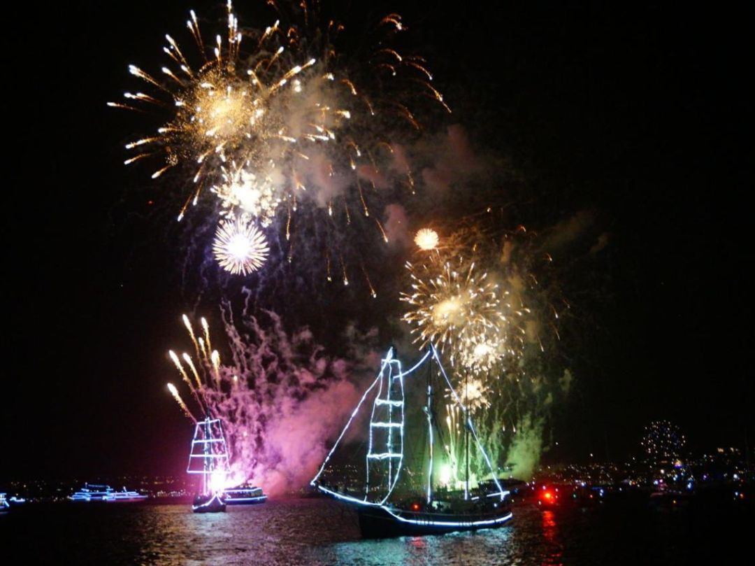 Southern Swan NYE Cruise on Sydney Harbour