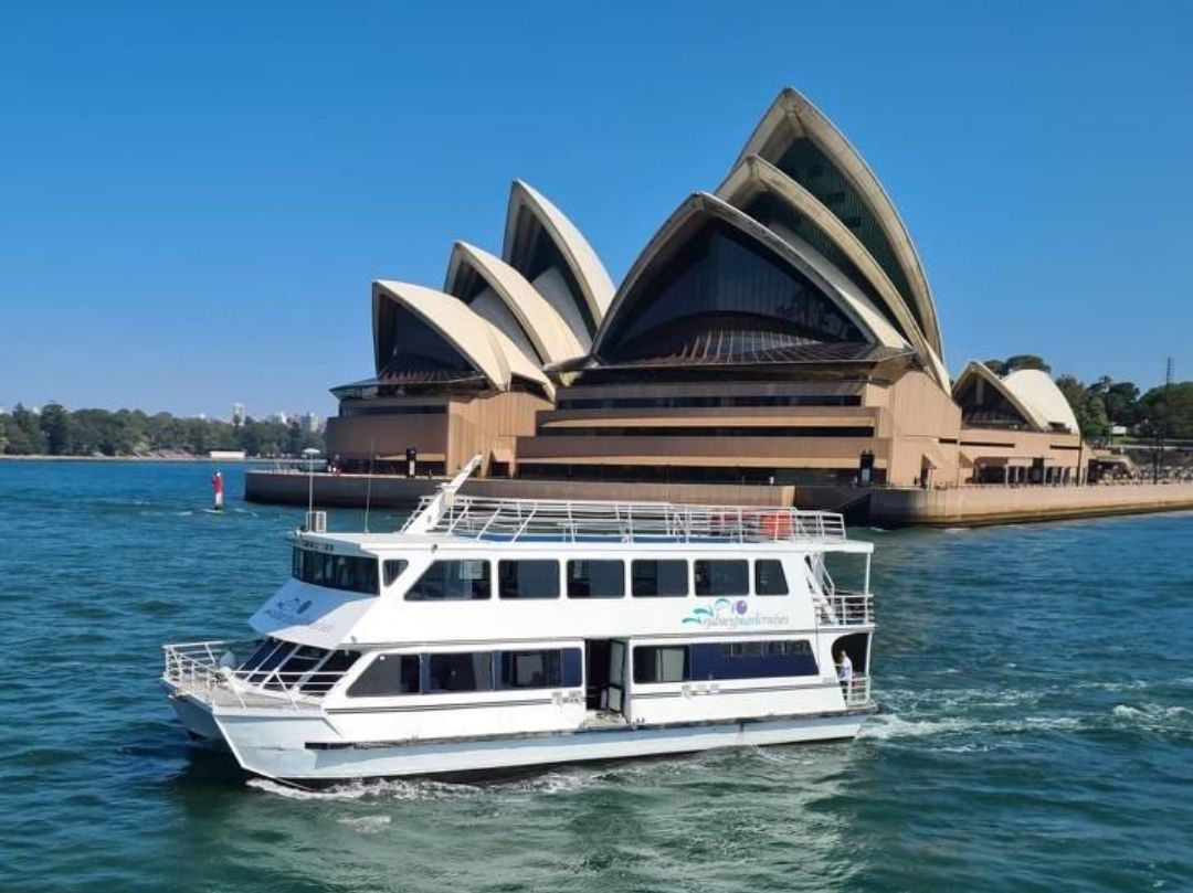 Sydney Pearl Boat Hire