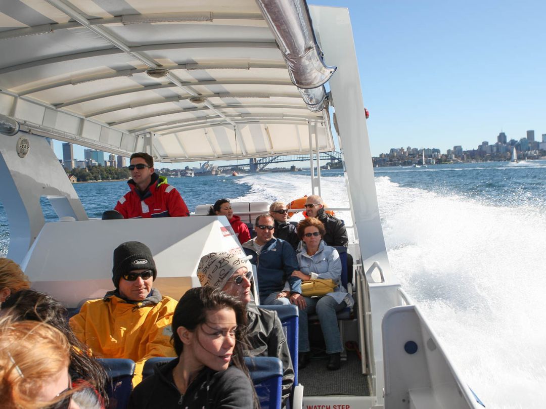 Totally Wild - Adventure Whale Watching cruise Sydney