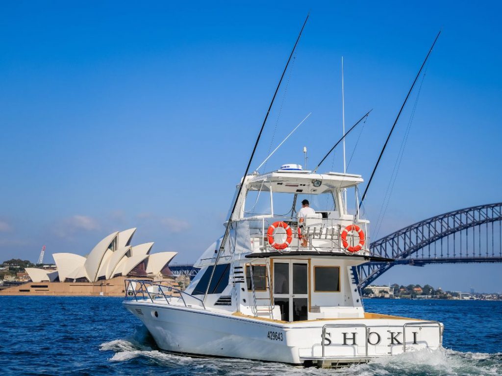 Shoki Boat Hire Sydney - Rear View