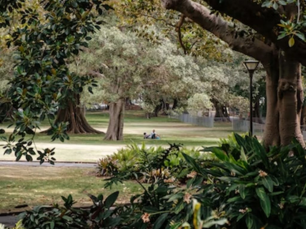 Sydney Botanical Gardens Picnic